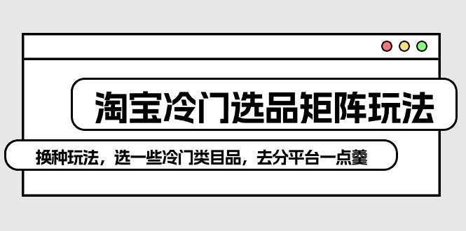 淘宝冷门选品矩阵玩法：换种玩法，选一些冷门类目品，去分平台一点羹-智创资源网