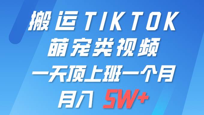 一键搬运TIKTOK萌宠类视频 一部手机即可操作 所有平台均可发布 轻松月入5W+-智创资源网