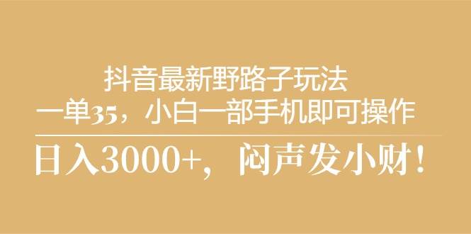 抖音最新野路子玩法，一单35，小白一部手机即可操作，，日入3000+，闷…-智创资源网