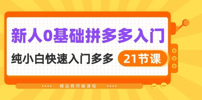 新人0基础拼多多入门，纯小白快速入门多多（21节课）-智创资源网