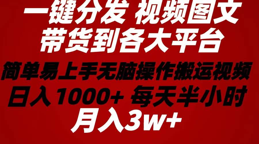 2024年 一键分发带货图文视频  简单易上手 无脑赚收益 每天半小时日入1…-智创资源网