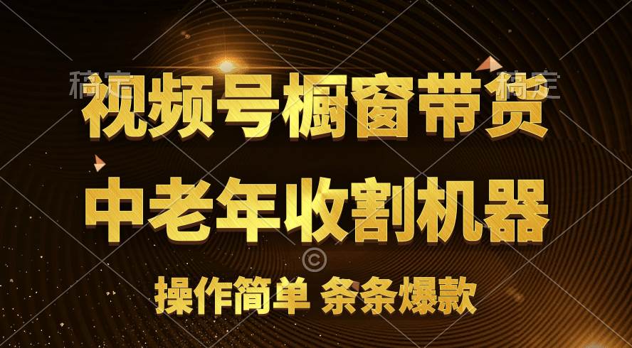[你的孩子成功取得高位]视频号最火爆赛道，橱窗带货，流量分成计划，条…-智创资源网