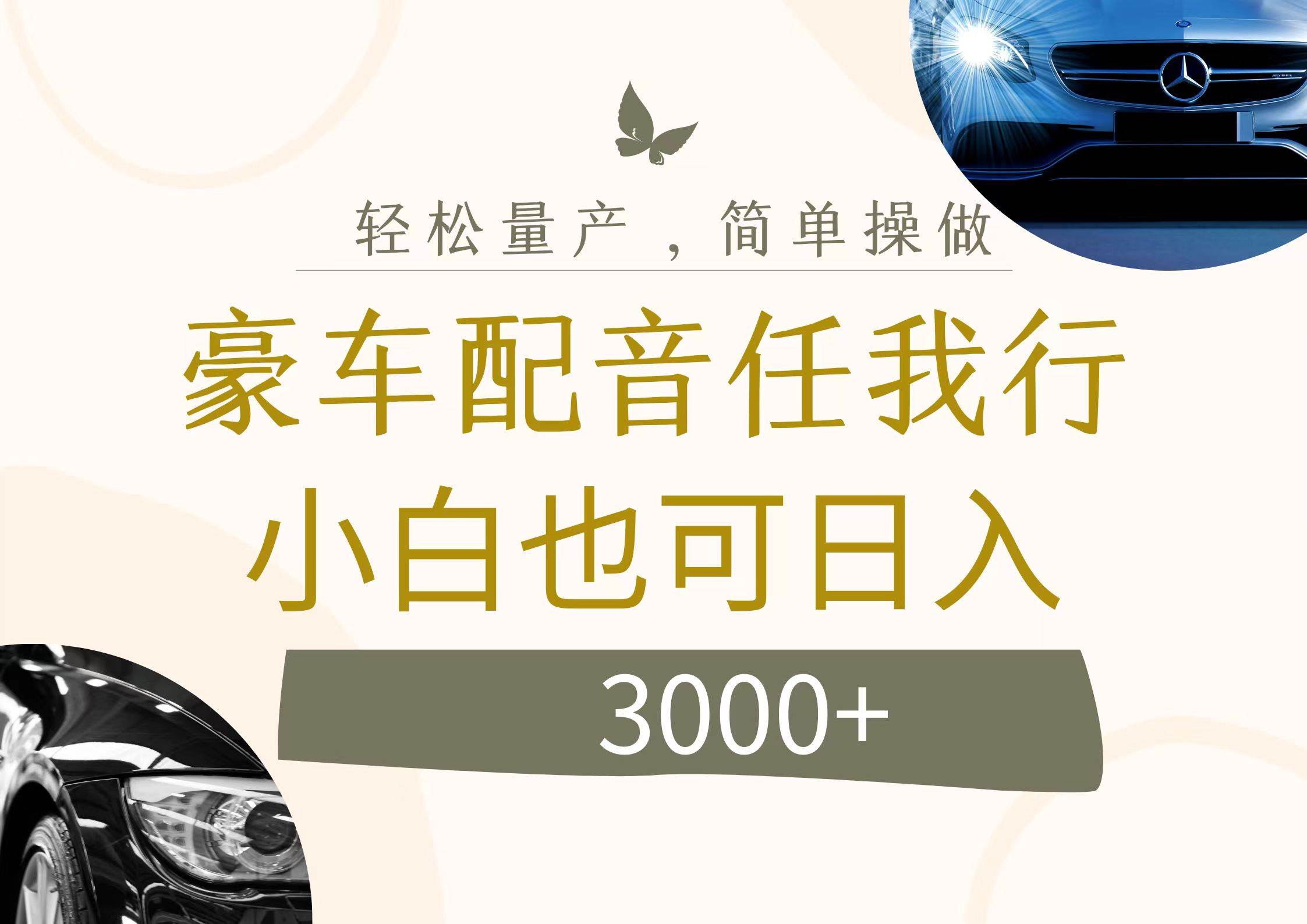 不为人知的暴力小项目，豪车配音，日入3000+-智创资源网