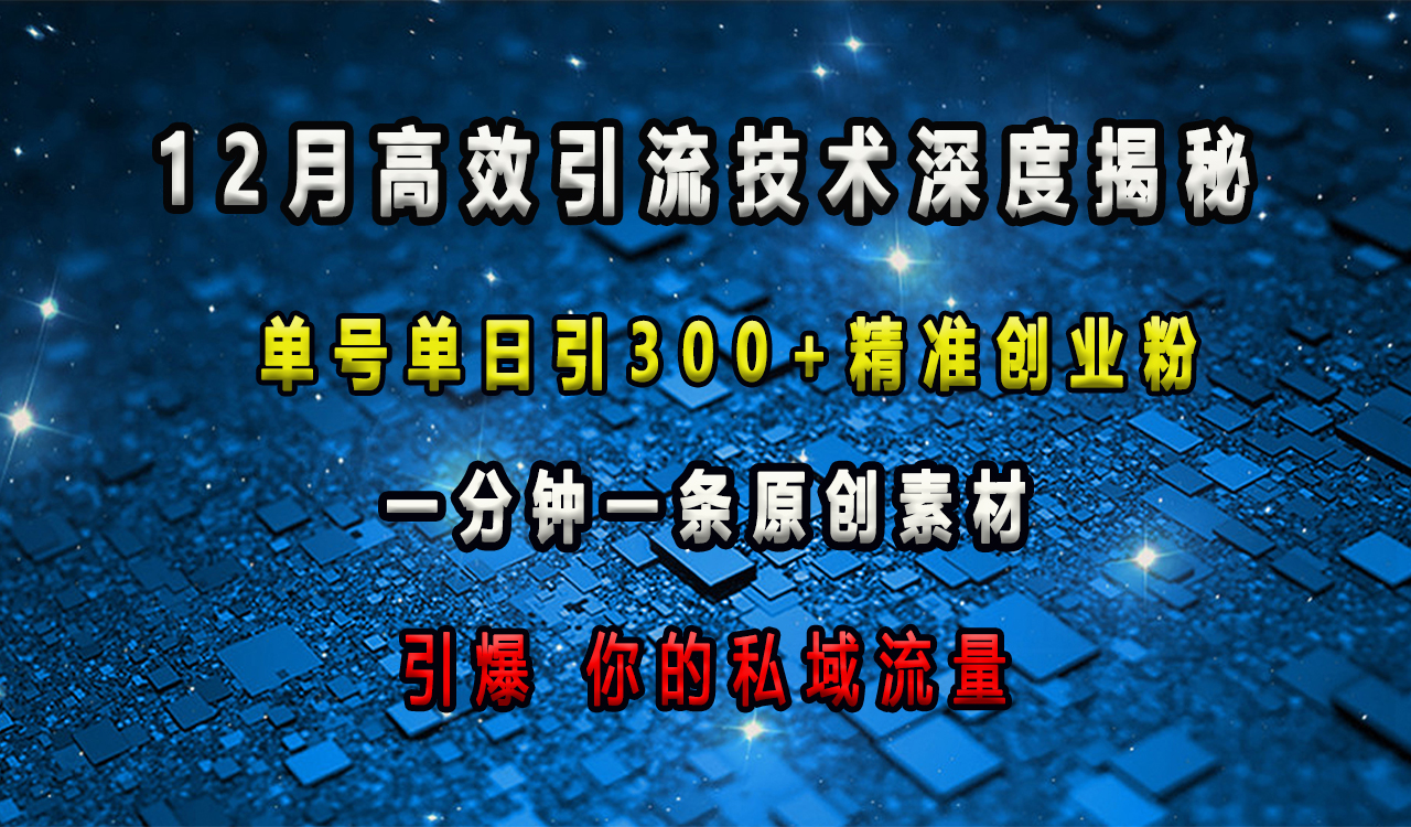 12月高效引流技术深度揭秘 ，单号单日引300+精准创业粉，一分钟一条原创素材，引爆你的私域流量-智创资源网
