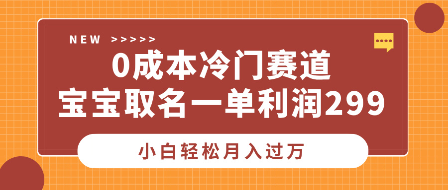 0成本冷门赛道，宝宝取名一单利润299，小白轻松月入过万-智创资源网