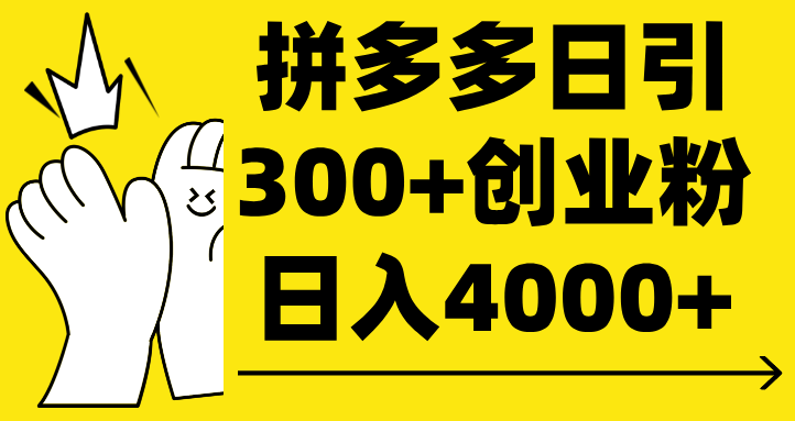拼多多日引300+创业粉 日入4000+-智创资源网